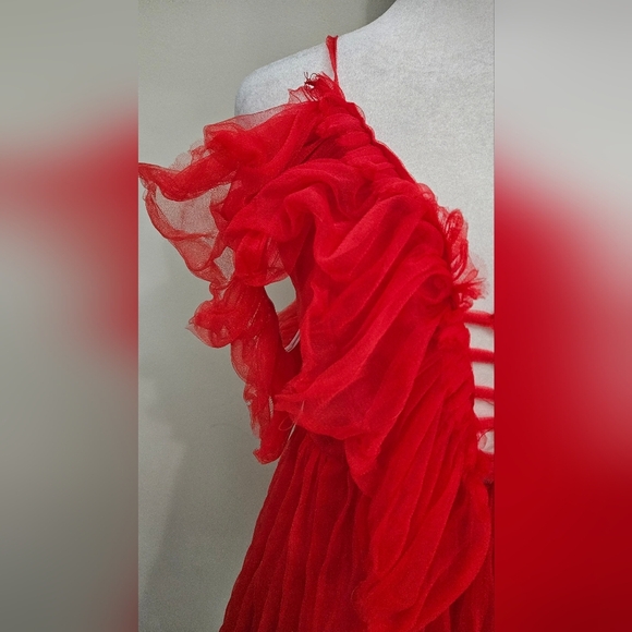 EILLY BAZAR Red Sheer Mesh Tie Front Ruffle Detail Cold Shoulder Mini Dress. XS - Picture 14 of 16